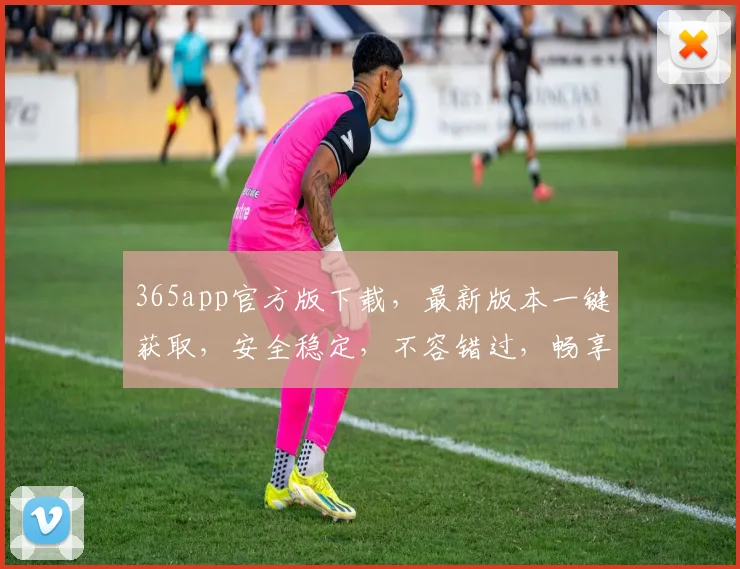 365app官方版下载，最新版本一键获取，安全稳定，不容错过，畅享便捷生活