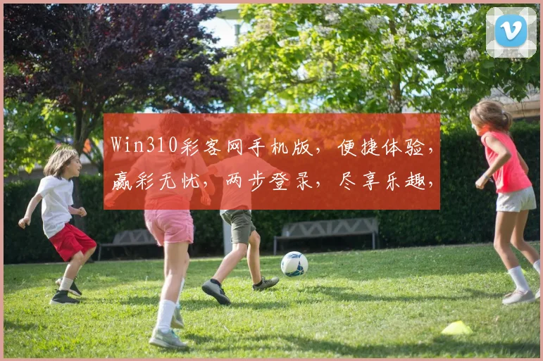 Win310彩客网手机版，便捷体验，赢彩无忧，两步登录，尽享乐趣，安全可靠